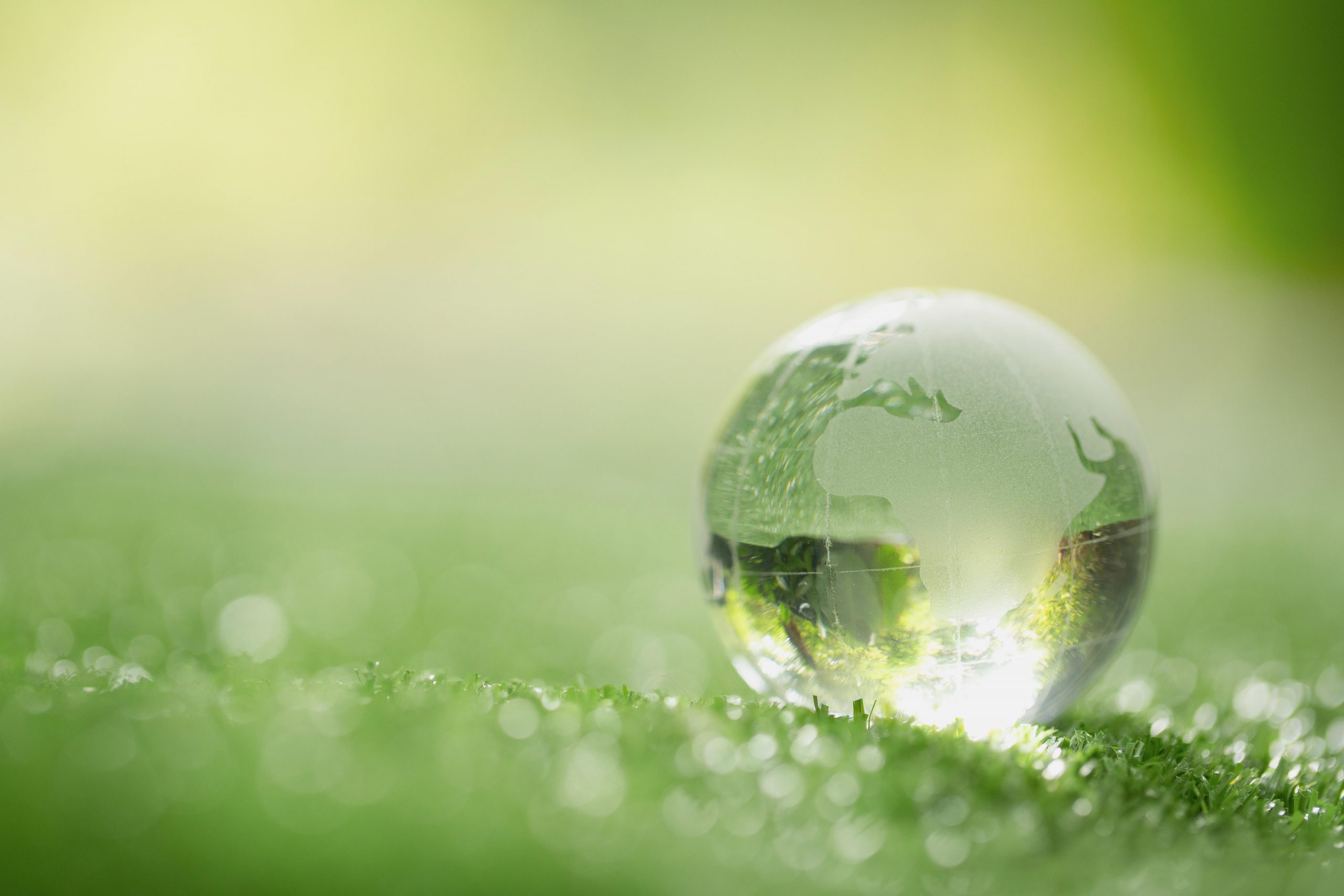 Priviglaze Sustainability