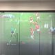 Rugby Rear Projection